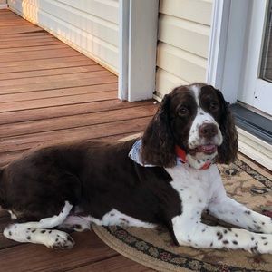 Meet your Posher, Tanner